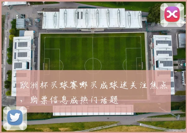 欧洲杯买球赛哪买成球迷关注焦点，购票信息成热门话题