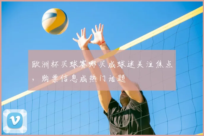 欧洲杯买球赛哪买成球迷关注焦点,购票信息成热门话题