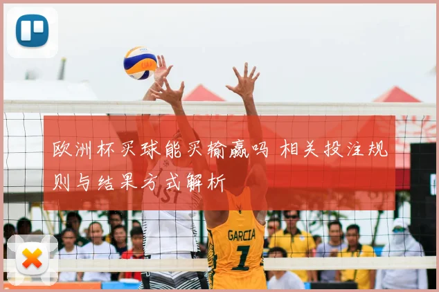 欧洲杯买球能买输赢吗 相关投注规则与结果方式解析
